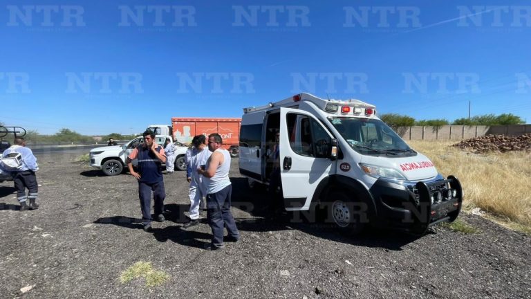 Choca contra señalamiento vial, tumba panal y los pican