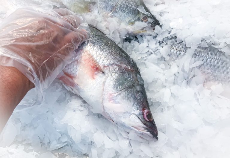 Emiten recomendaciones para el consumo de mariscos