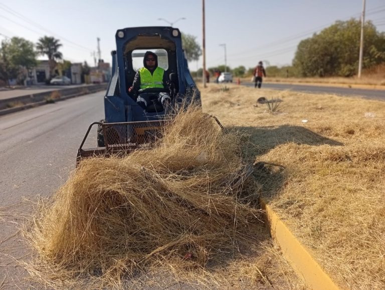 Limpian permanentemente los camellones en Guadalupe