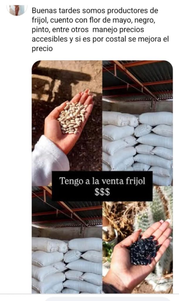 Campesinos usan redes sociales para vender frijol