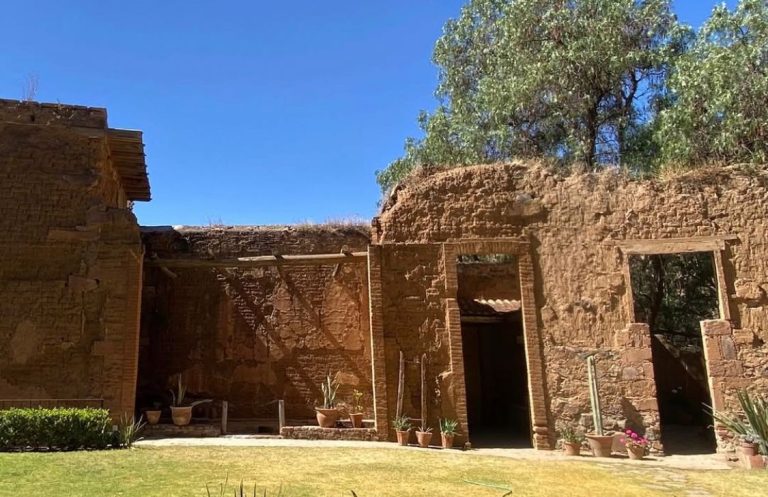 Realizarán bazar cultural Entre Árboles en la capital