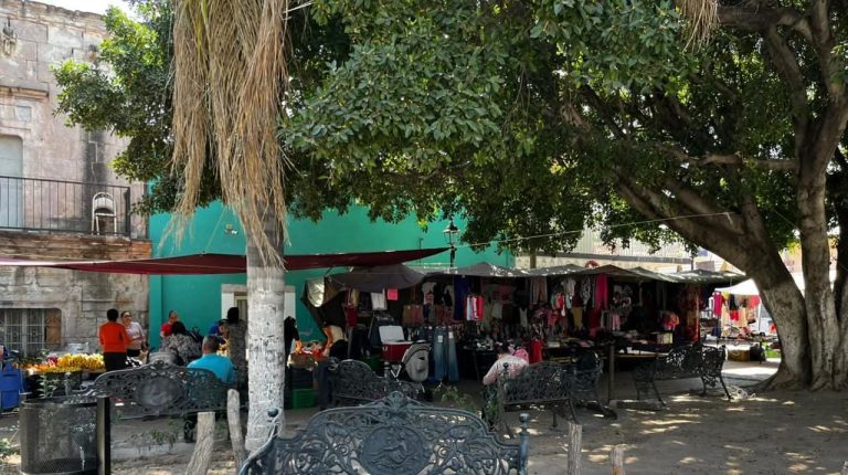 Tras 20 años, regresan tianguistas a Apozol