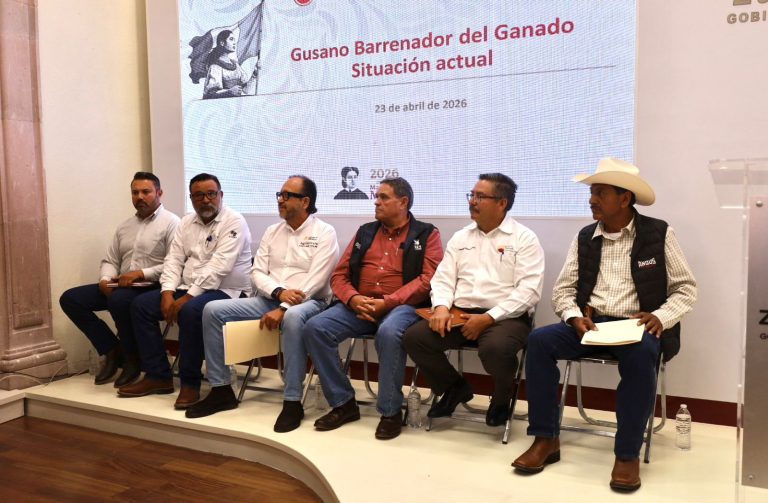 Mantienen vigilancia ante brotes de gusano barrenador