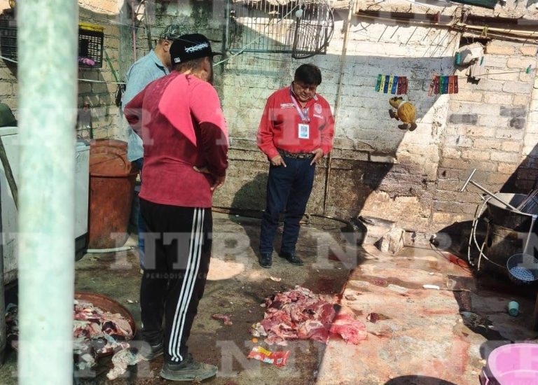 Cierran rastro ilegal en la Zapata