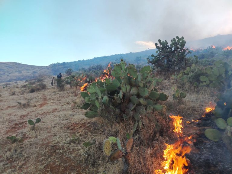 Nuevamente se registra un incendio forestal en el Ecoparque