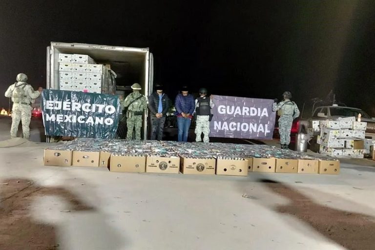 Aseguran casi dos toneladas de cocaína en Sonora
