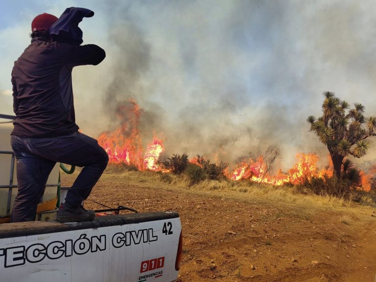 Aumentan 140% incendios forestales