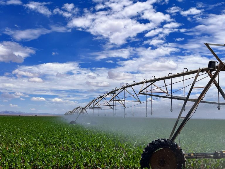Cierran el 28 de abril reinscripciones al PEUA: AGRICULTURA