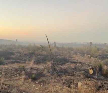 Devasta incendio más de 600 hectáreas en la sierra Santa Cruz