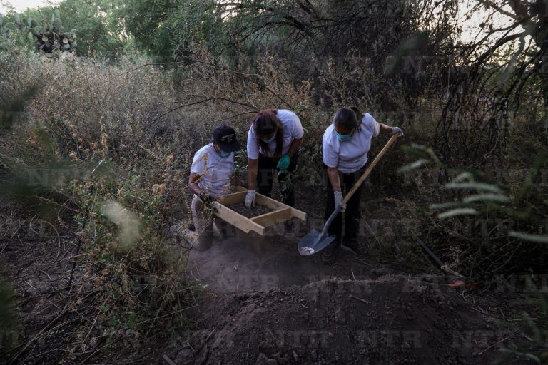 Hallan buscadoras restos en Luis Moya