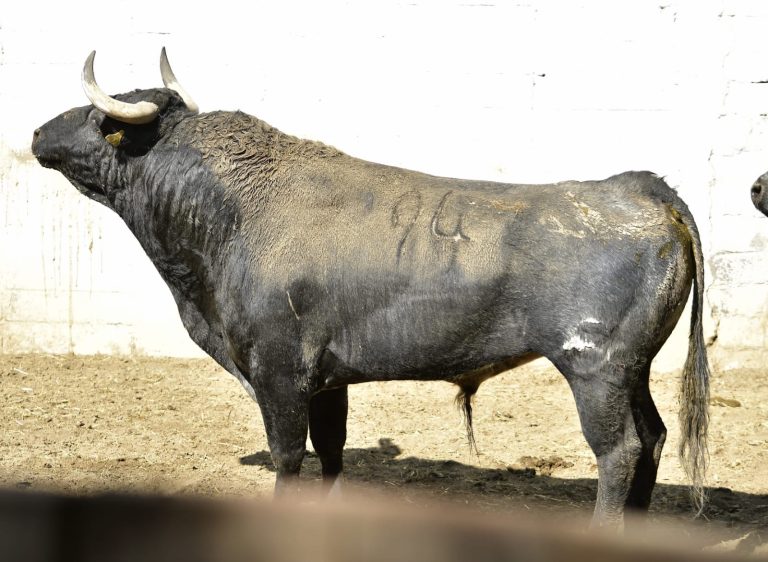El Batán, a escena en el cierre de la Feria del Caballo en Texcoco