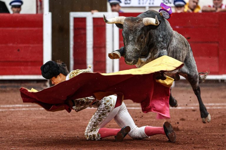La Plaza San Marcos definirá al triunfador de la temporada 2026