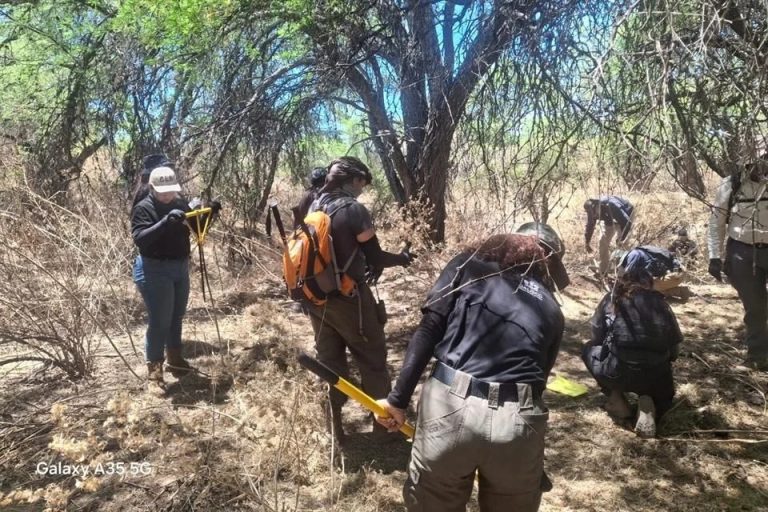 Localizan colectivos restos humanos en Encarnación de Díaz