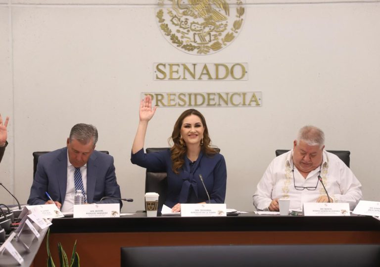 Reducción de la jornada laboral traza la ruta hacia un país más justo y con mayor bienestar: Geovanna Bañuelos