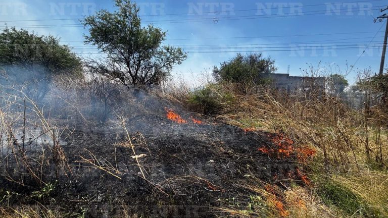 Se queman 3 hectáreas de hierba seca en Fresnillo