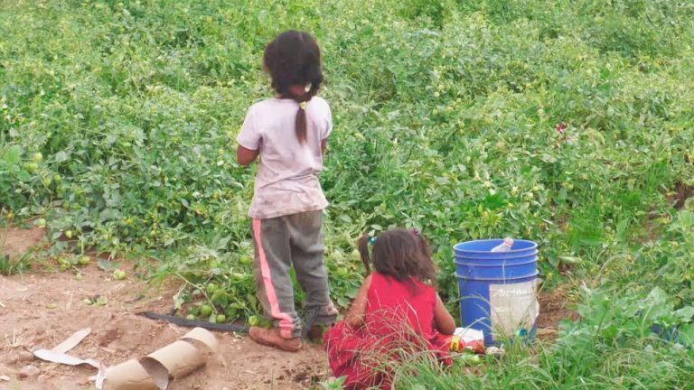 Van contra la muerte infantil en el campo