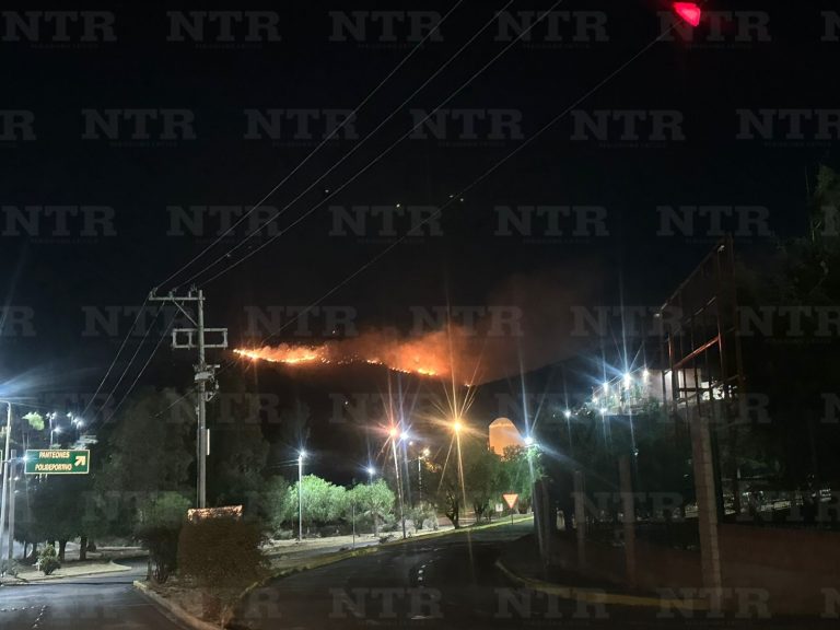 Incendio forestal consume 60 hectáreas en el Ecoparque