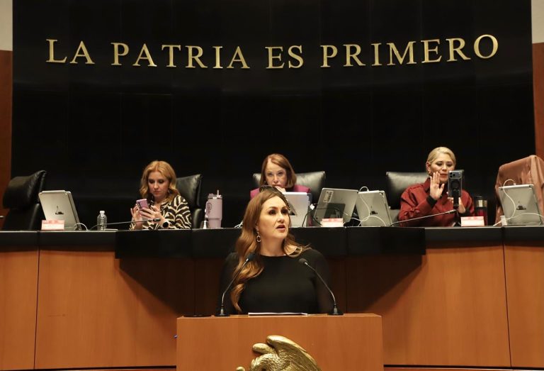 La reforma al Artículo 41 es defender la independencia nacional: senadora