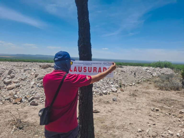 Clausura Profepa dos predios forestales en Zacatecas