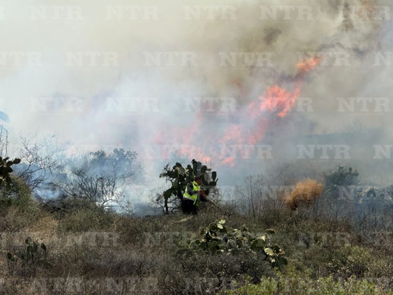 Arrasa incendio con 20 hectáreas del Ecoparque