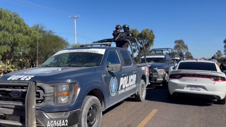 Aseguran predios ilegales operados por zacatecanos