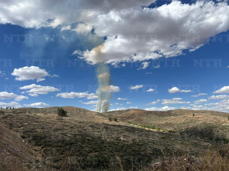Consume incendio 45 hectáreas del Ecoparque