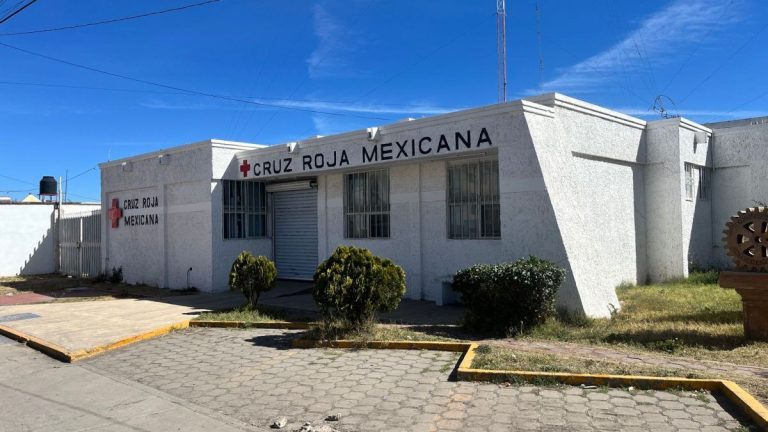 Mueren 3 perros al cuidado de la Cruz Roja