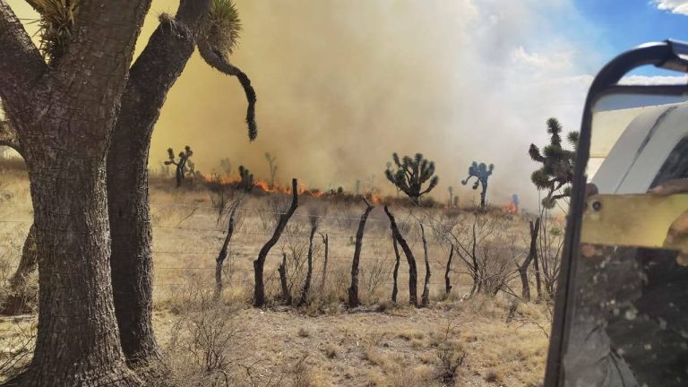 Incendio continúa activo en Villa de Cos