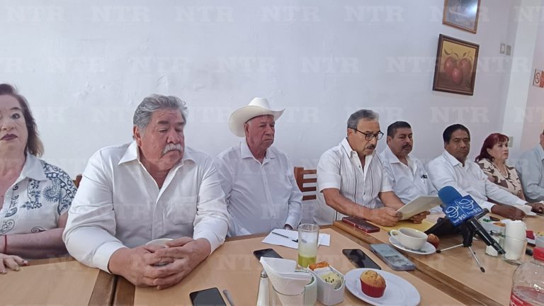 Constituyen estructura ciudadana
