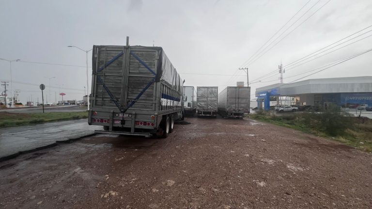 Tráileres entorpecen tránsito en lateral de Lindavista