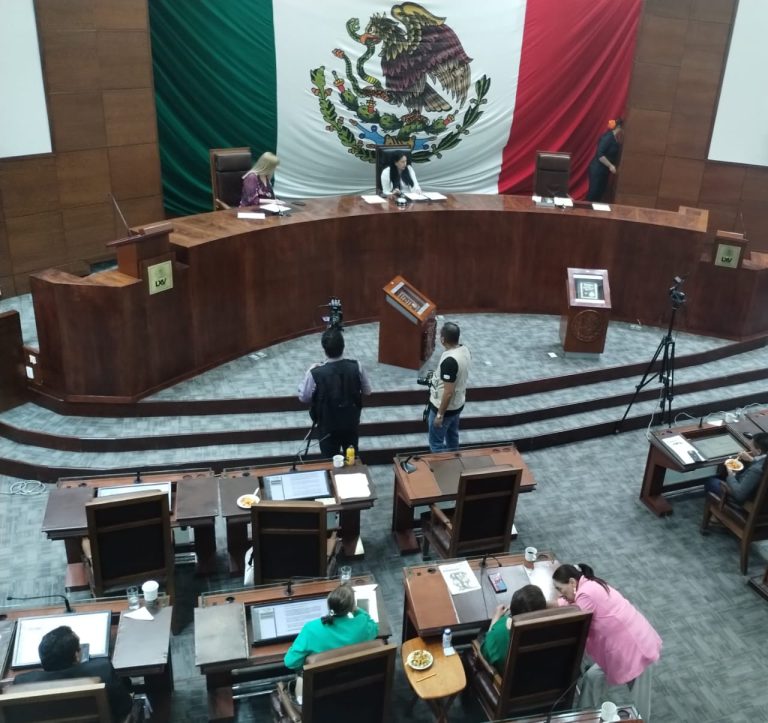 Propone legisladora reforma para prevenir la explotación laboral infantil