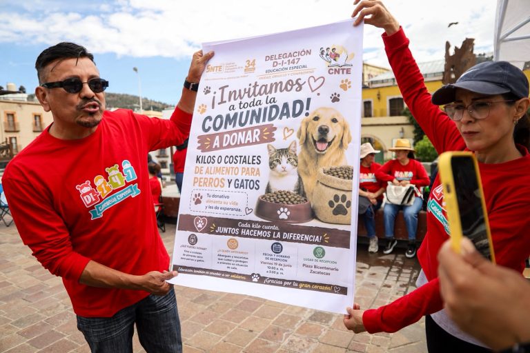 Realizan maestros colecta de croquetas