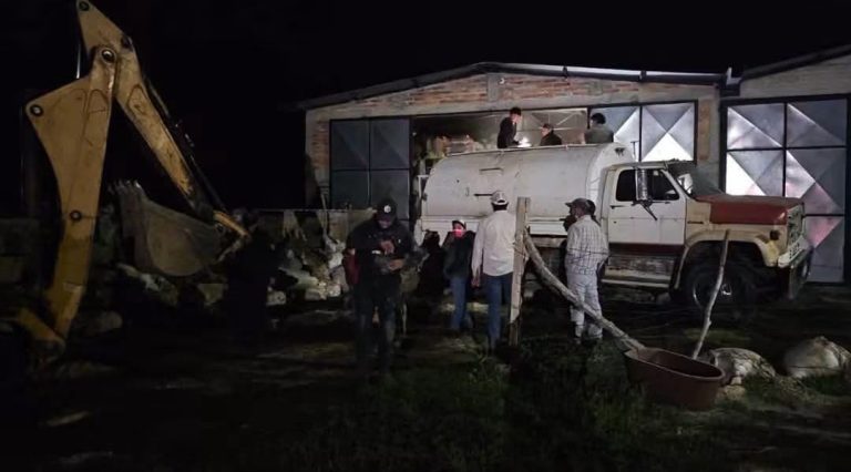 Fuego consume 140 toneladas de forraje