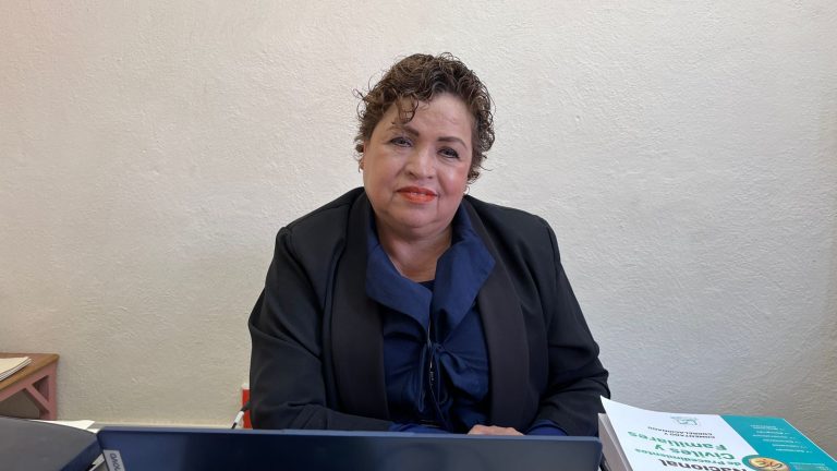 Declaración de Ausencia, paralizada en El Mineral