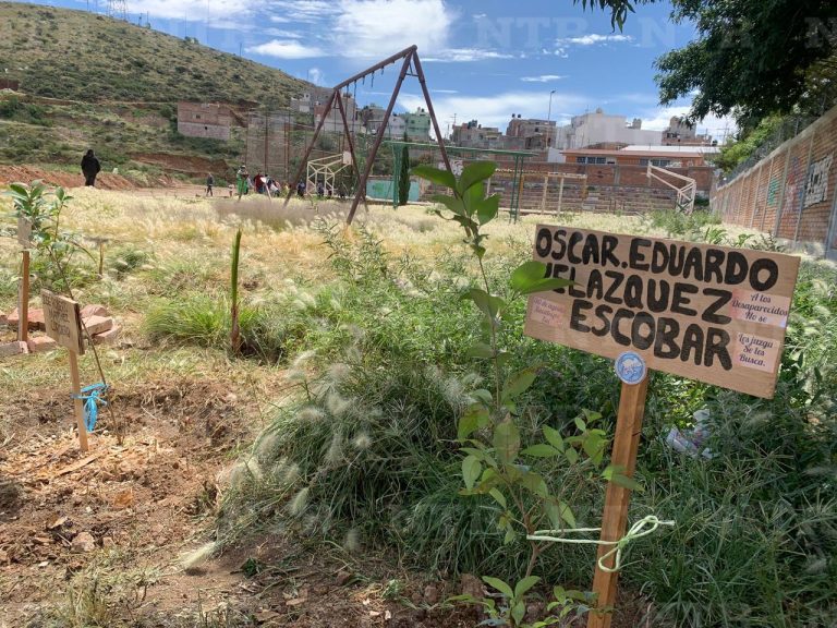 Plantan árboles en memoria de personas desaparecidas
