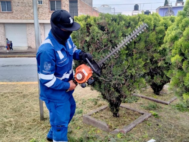 Realizan mantenimiento y limpieza en camellones
